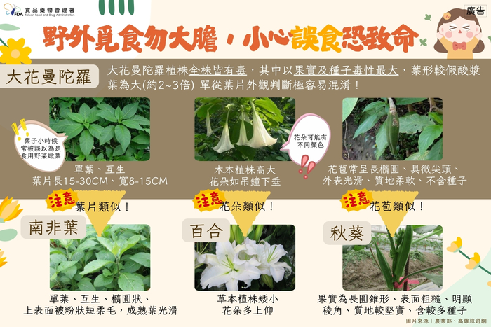 辨識植物差異(另開新視窗/jpg檔)圖片